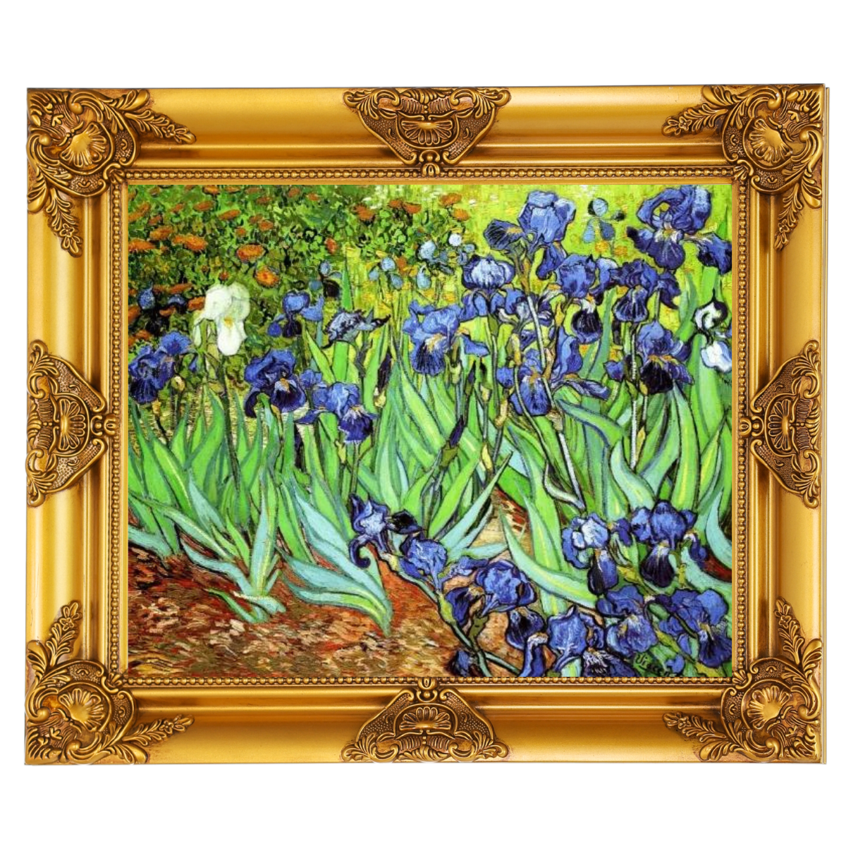 Iris II-Blumen Wandkunstdrucke Dekor für Wohnzimmer