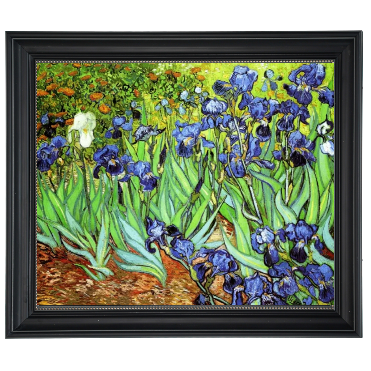 Iris II-Blumen Wandkunstdrucke Dekor für Wohnzimmer