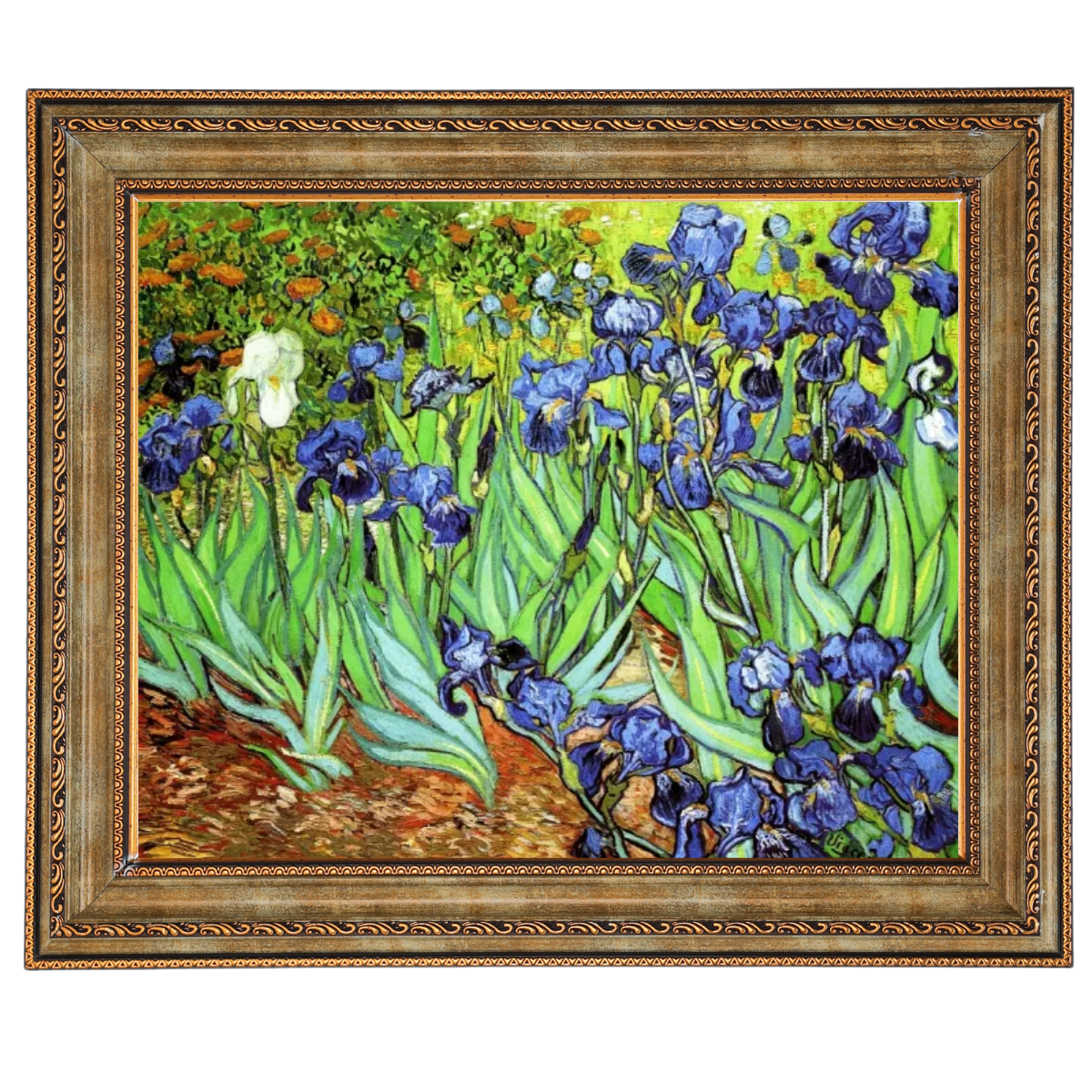 Iris II-Blumen Wandkunstdrucke Dekor für Wohnzimmer