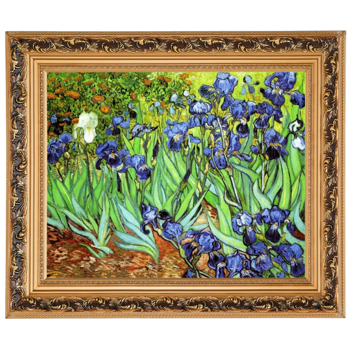 Iris II-Blumen Wandkunstdrucke Dekor für Wohnzimmer