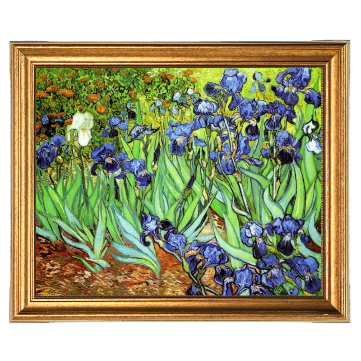 Iris II-Blumen Wandkunstdrucke Dekor für Wohnzimmer