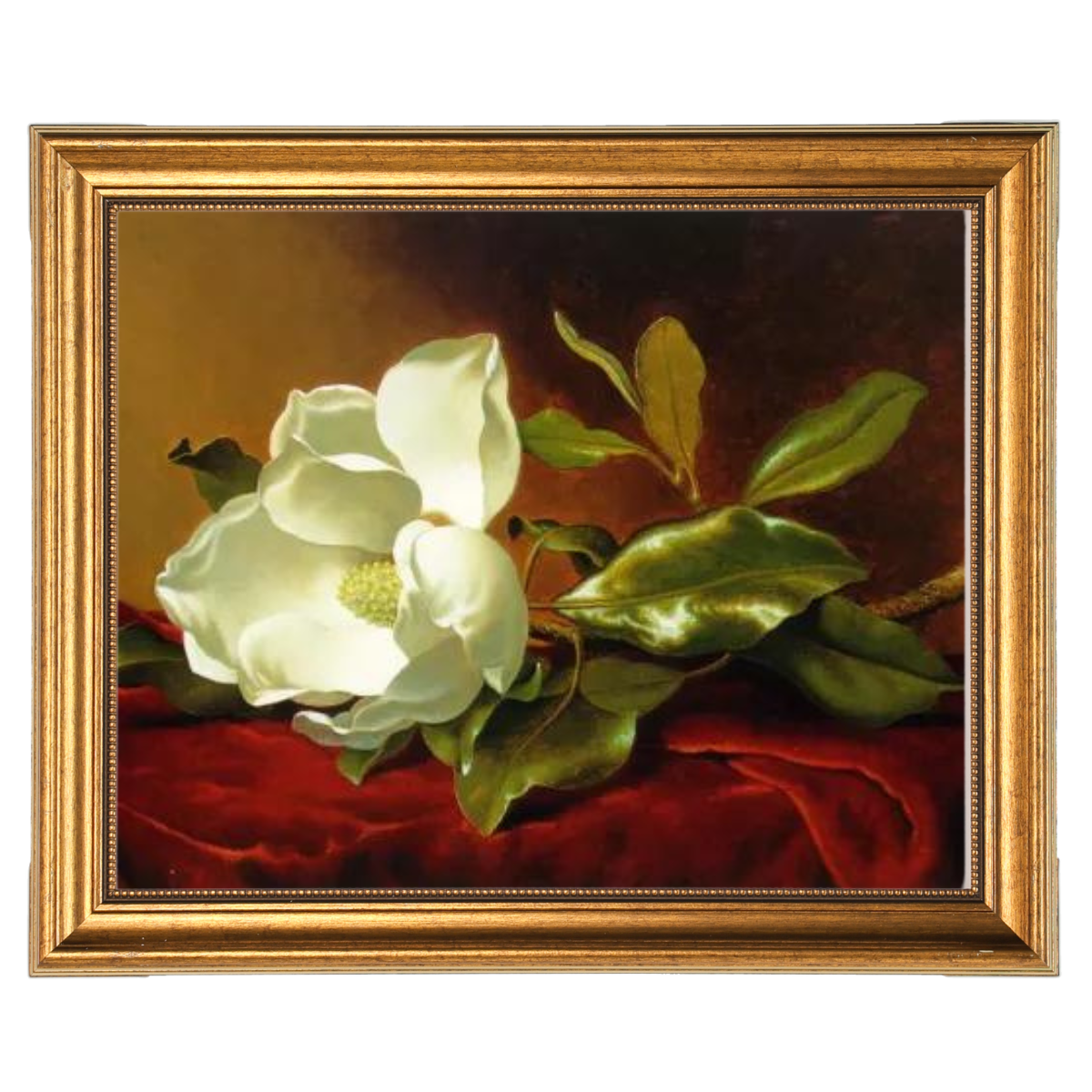 A Magnolia on Red Velvet- Romantisch Wandkunstdrucke Dekor für Wohnzimmer