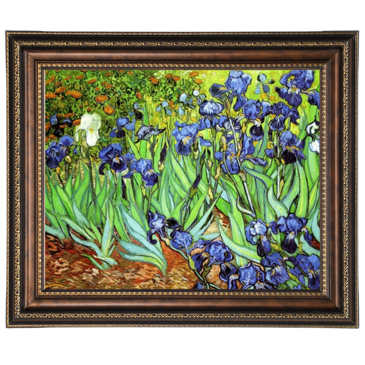 Iris II-Blumen Wandkunstdrucke Dekor für Wohnzimmer