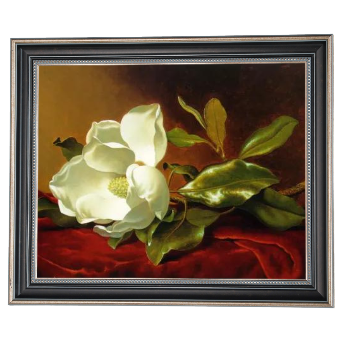 A Magnolia on Red Velvet- Romantisch Wandkunstdrucke Dekor für Wohnzimmer