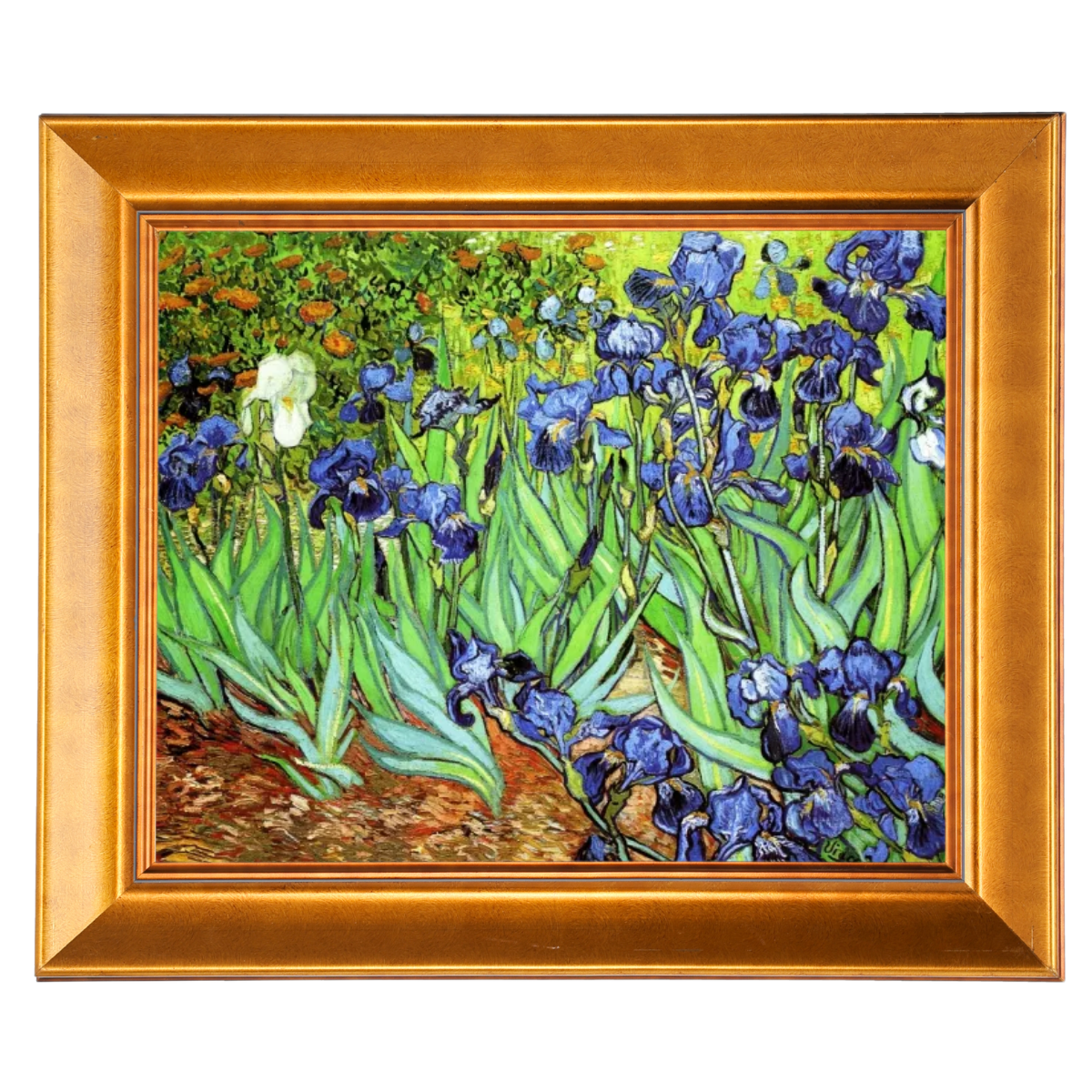 Iris II-Blumen Wandkunstdrucke Dekor für Wohnzimmer