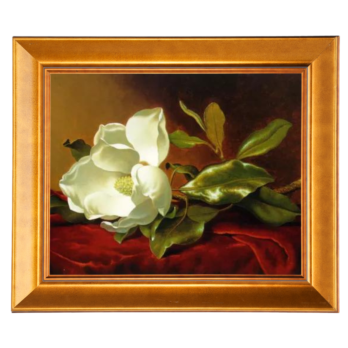 A Magnolia on Red Velvet- Romantisch Wandkunstdrucke Dekor für Wohnzimmer