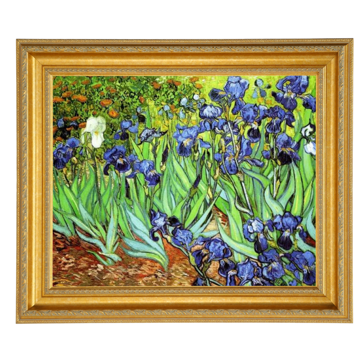 Iris II-Blumen Wandkunstdrucke Dekor für Wohnzimmer