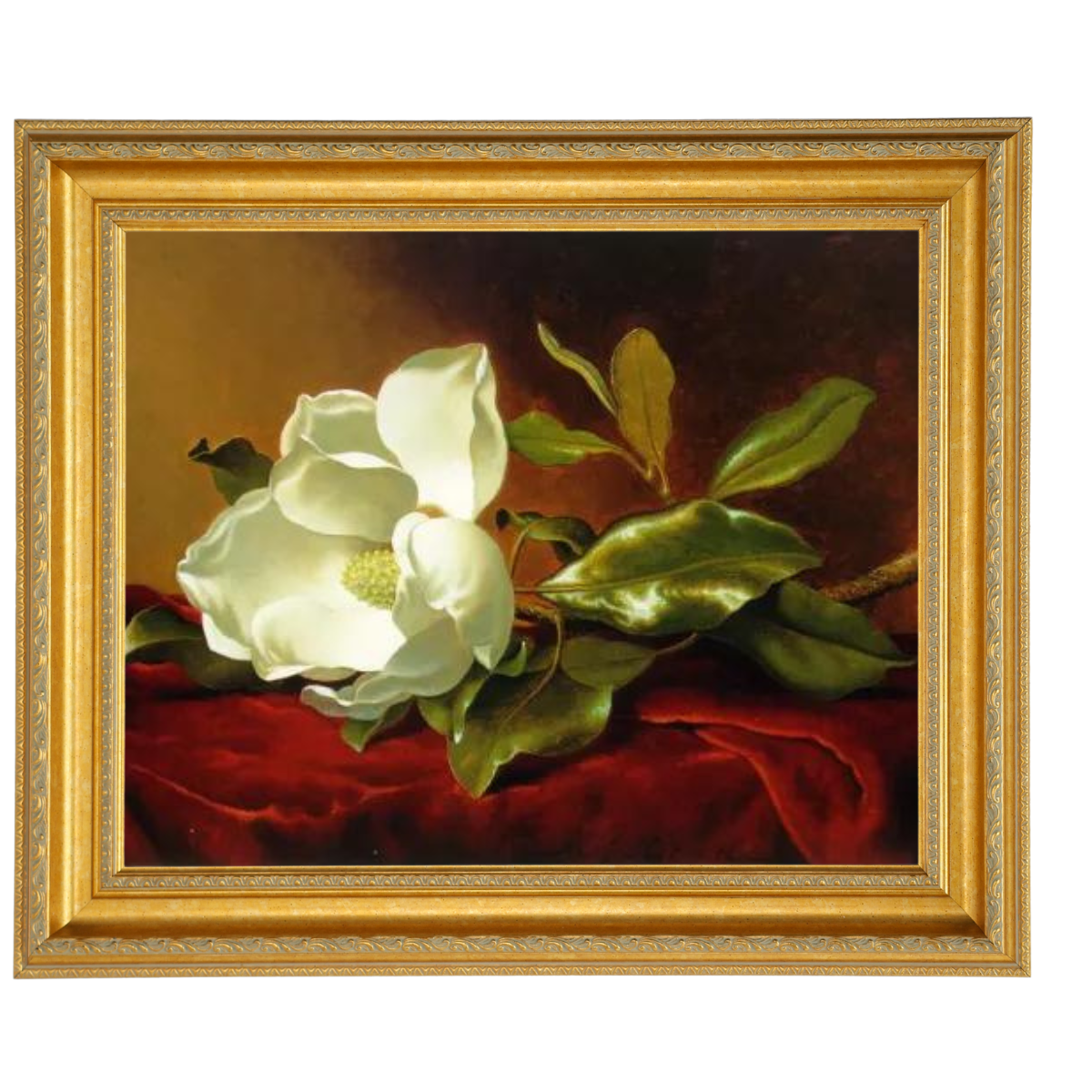 A Magnolia on Red Velvet- Romantisch Wandkunstdrucke Dekor für Wohnzimmer