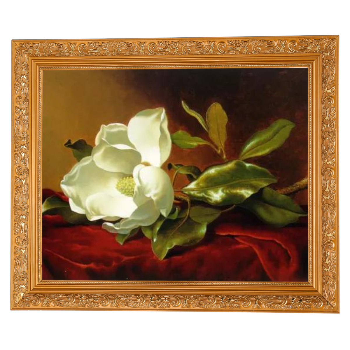 A Magnolia on Red Velvet- Romantisch Wandkunstdrucke Dekor für Wohnzimmer