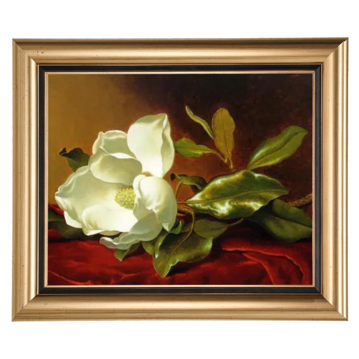 A Magnolia on Red Velvet- Romantisch Wandkunstdrucke Dekor für Wohnzimmer