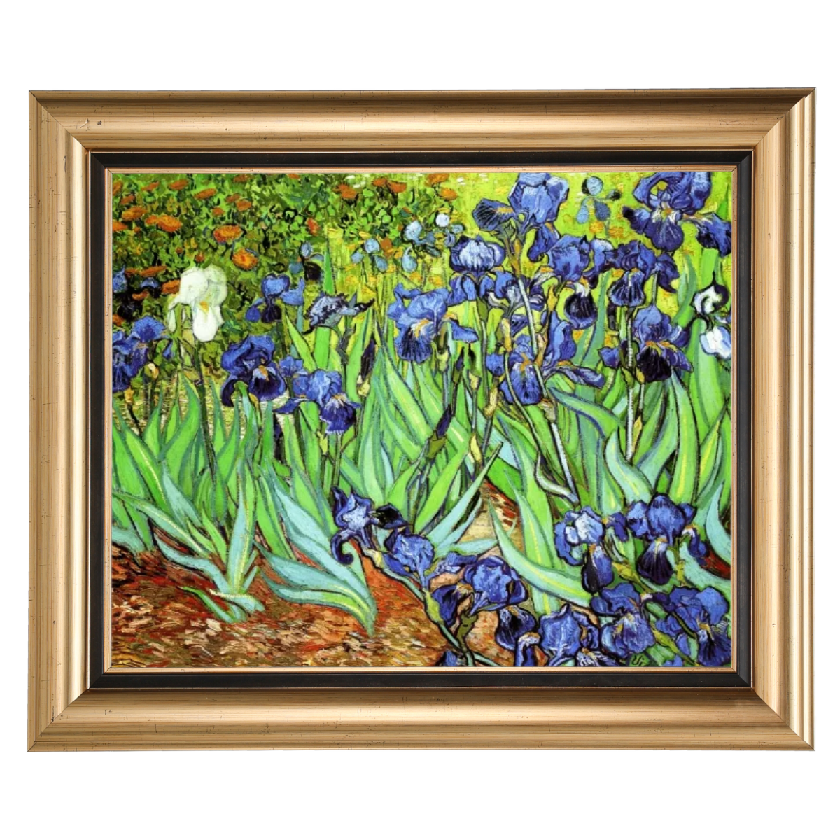 Iris II-Blumen Wandkunstdrucke Dekor für Wohnzimmer