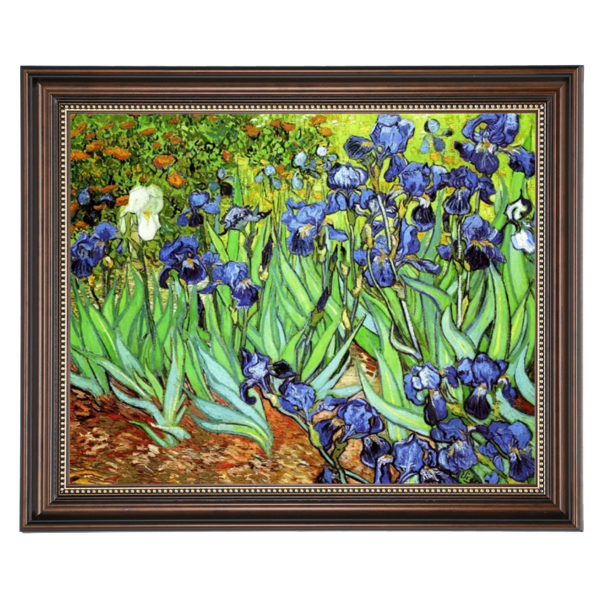 Iris II-Blumen Wandkunstdrucke Dekor für Wohnzimmer