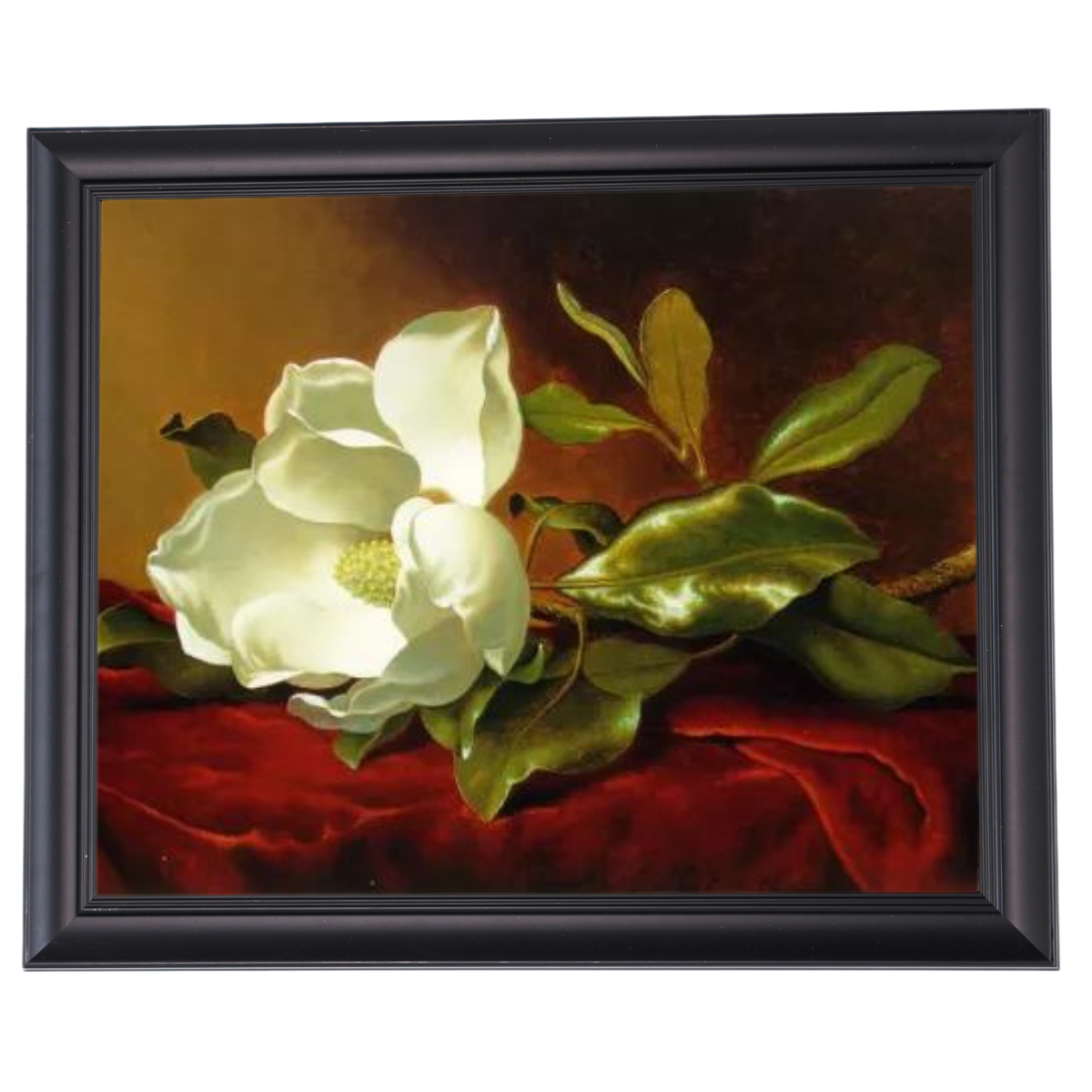 A Magnolia on Red Velvet- Romantisch Wandkunstdrucke Dekor für Wohnzimmer