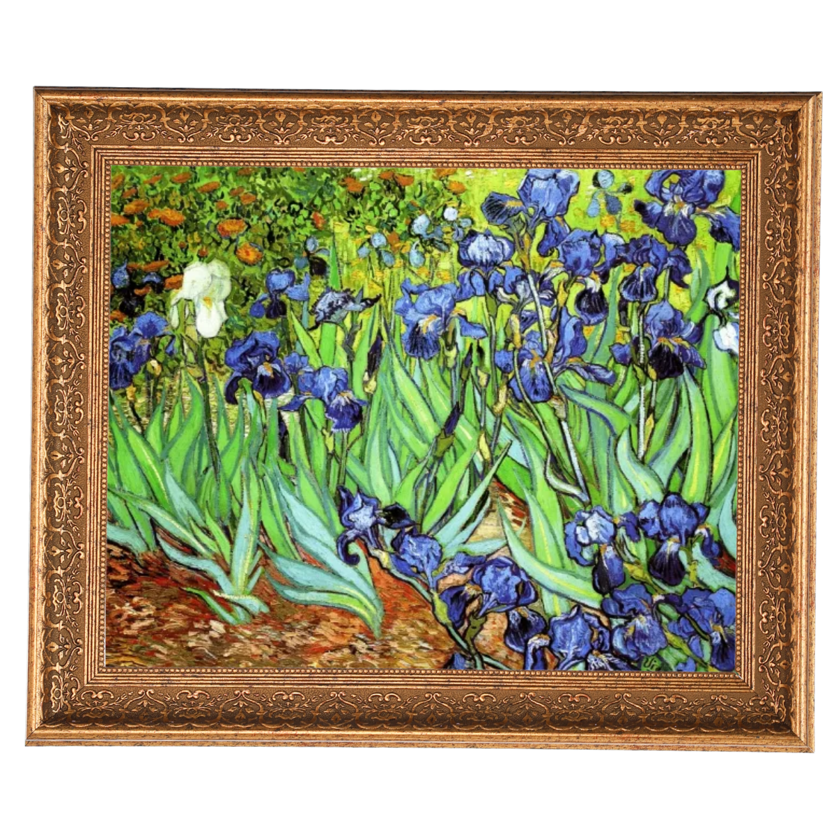 Iris II-Blumen Wandkunstdrucke Dekor für Wohnzimmer