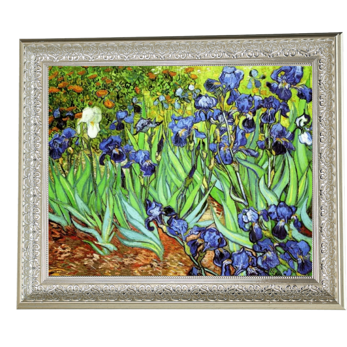 Iris II-Blumen Wandkunstdrucke Dekor für Wohnzimmer