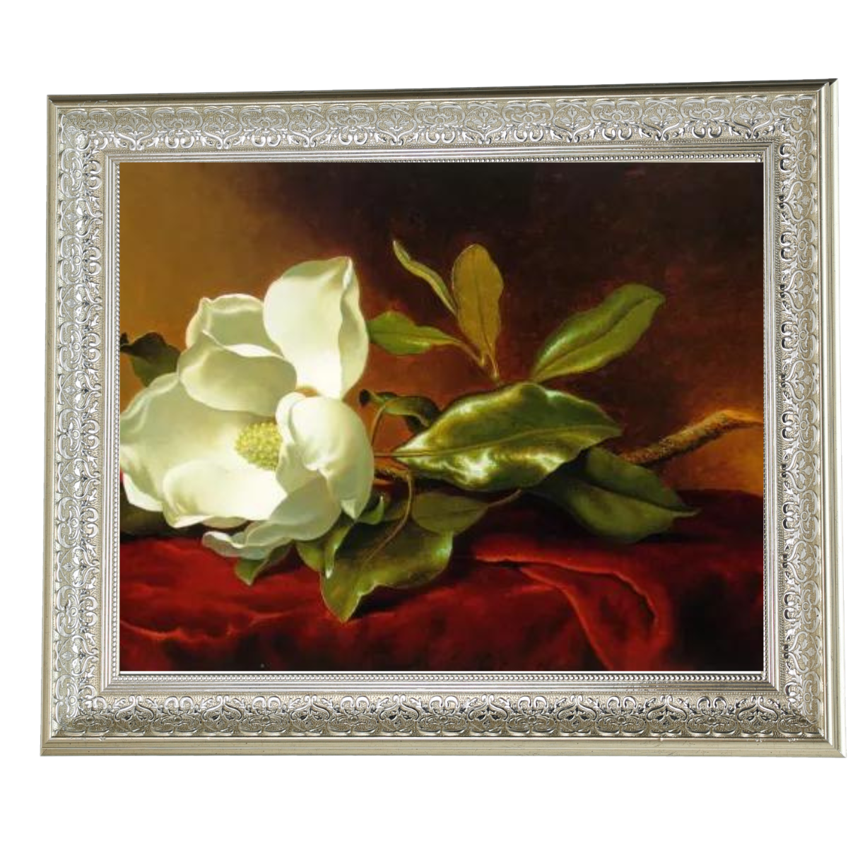 A Magnolia on Red Velvet- Romantisch Wandkunstdrucke Dekor für Wohnzimmer