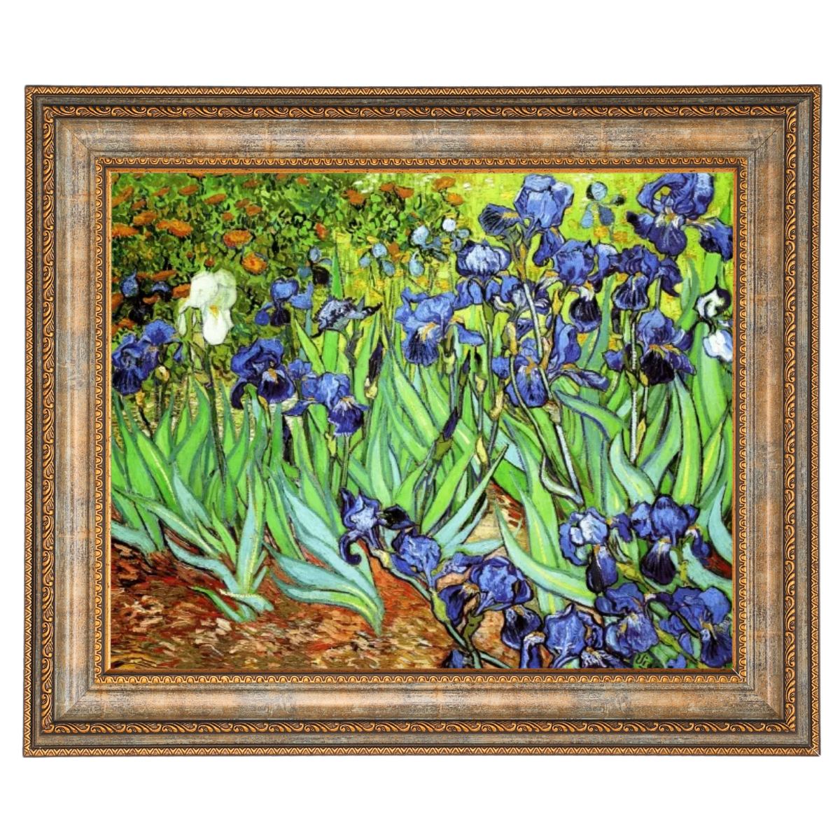 Iris II-Blumen Wandkunstdrucke Dekor für Wohnzimmer