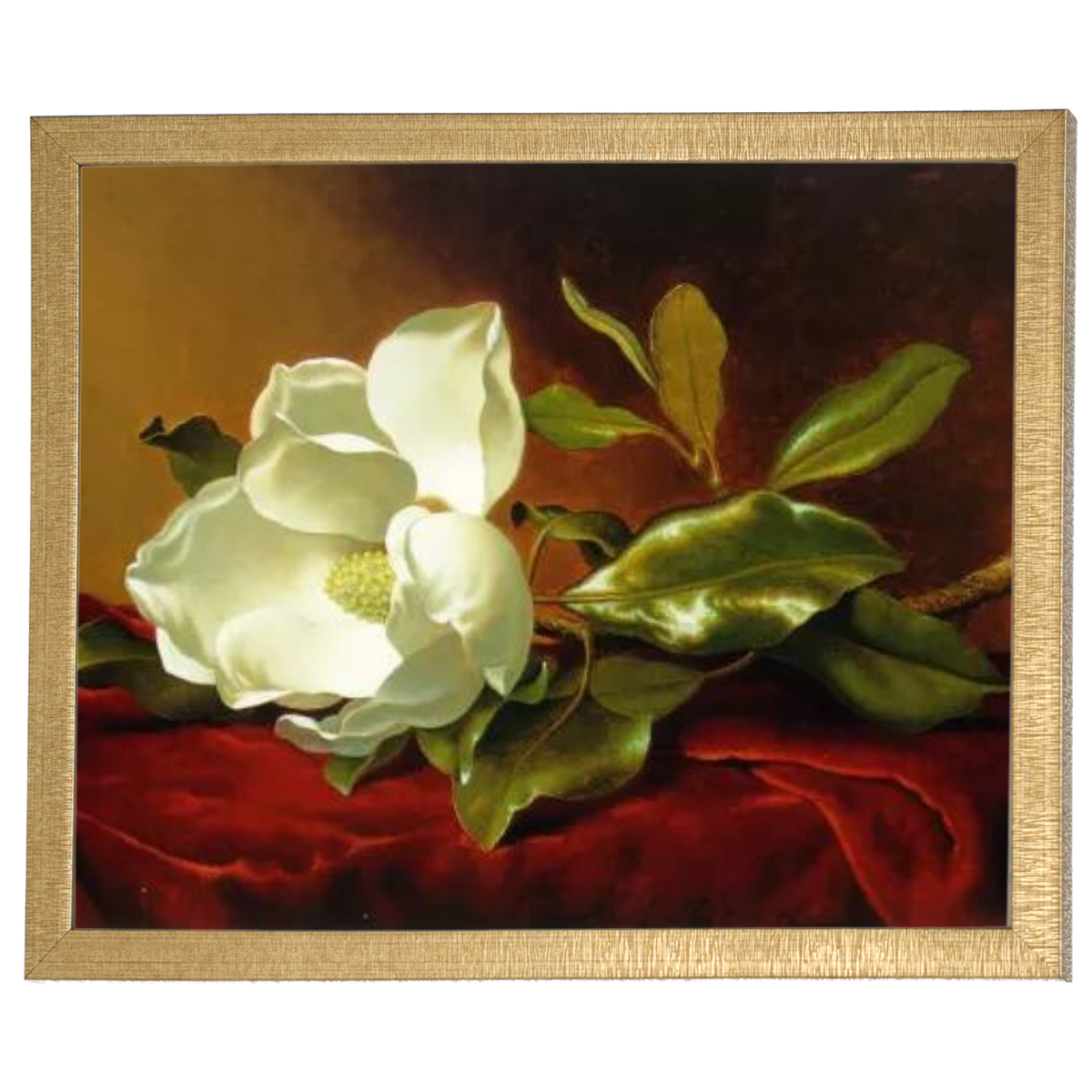 A Magnolia on Red Velvet- Romantisch Wandkunstdrucke Dekor für Wohnzimmer