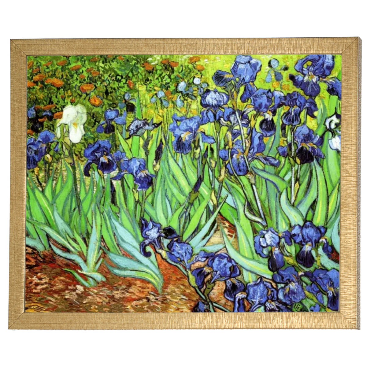 Iris II-Blumen Wandkunstdrucke Dekor für Wohnzimmer