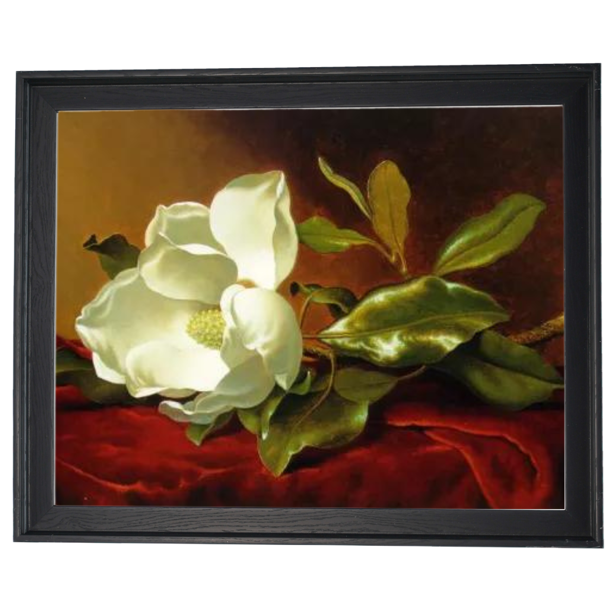 A Magnolia on Red Velvet- Romantisch Wandkunstdrucke Dekor für Wohnzimmer