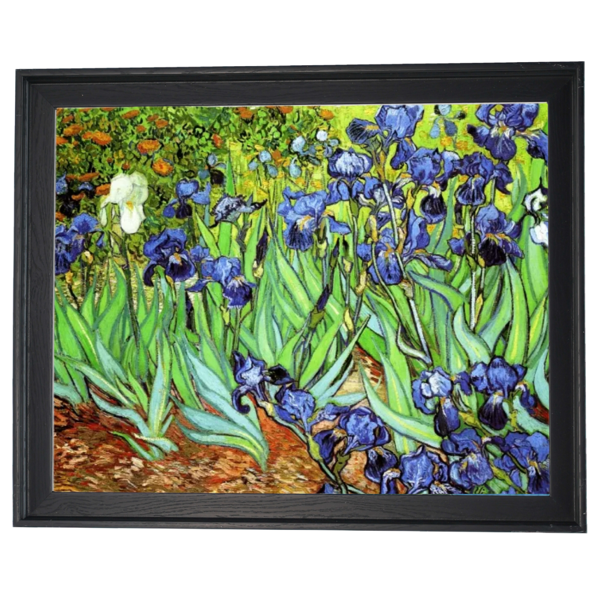 Iris II-Blumen Wandkunstdrucke Dekor für Wohnzimmer