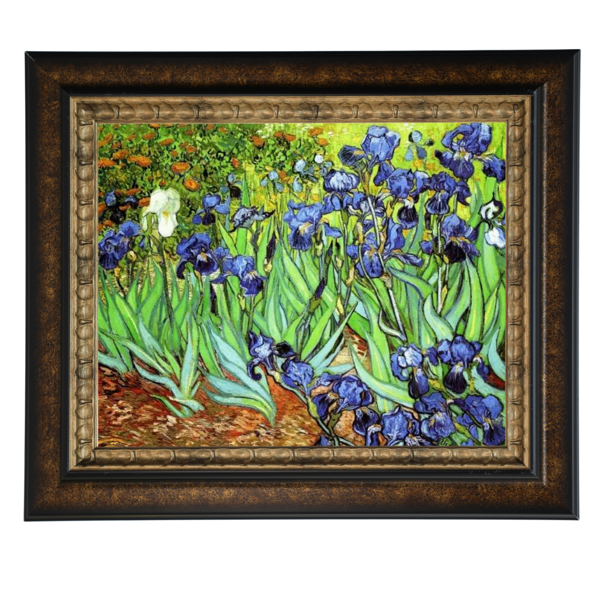 Iris II-Blumen Wandkunstdrucke Dekor für Wohnzimmer