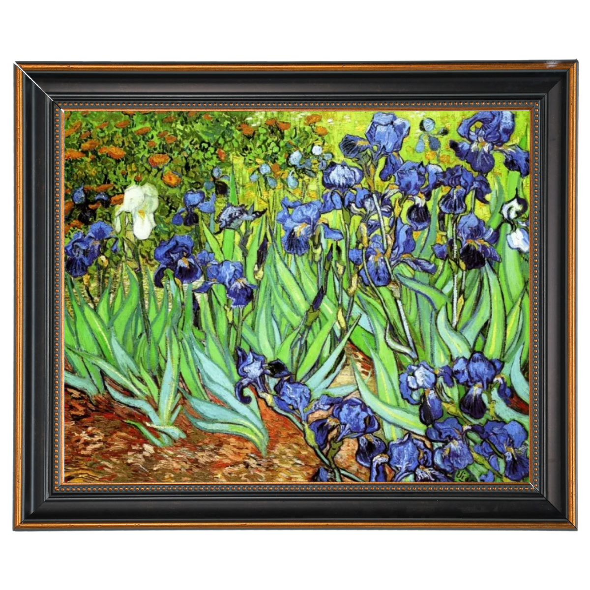 Iris II-Blumen Wandkunstdrucke Dekor für Wohnzimmer