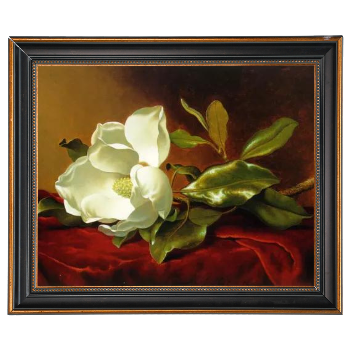 A Magnolia on Red Velvet- Romantisch Wandkunstdrucke Dekor für Wohnzimmer