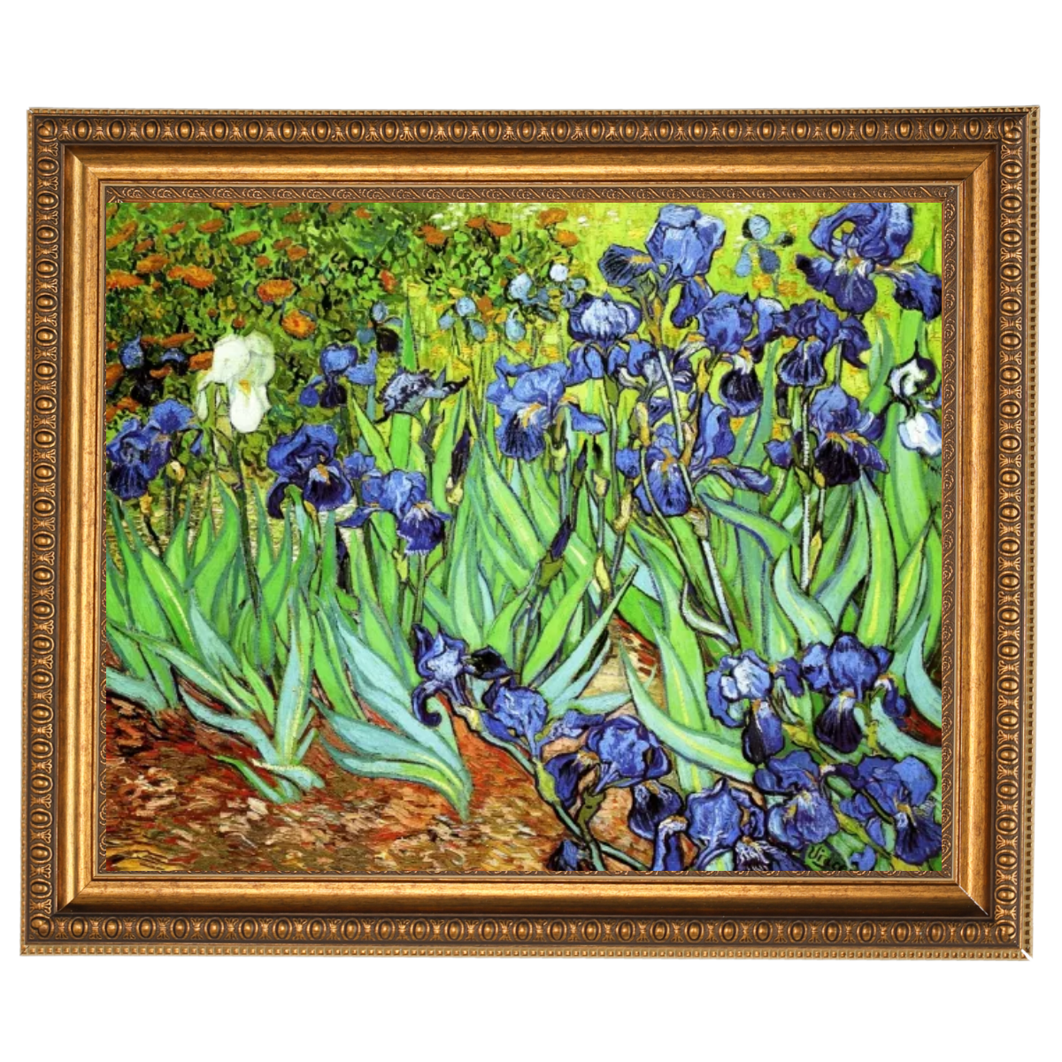 Iris II-Blumen Wandkunstdrucke Dekor für Wohnzimmer