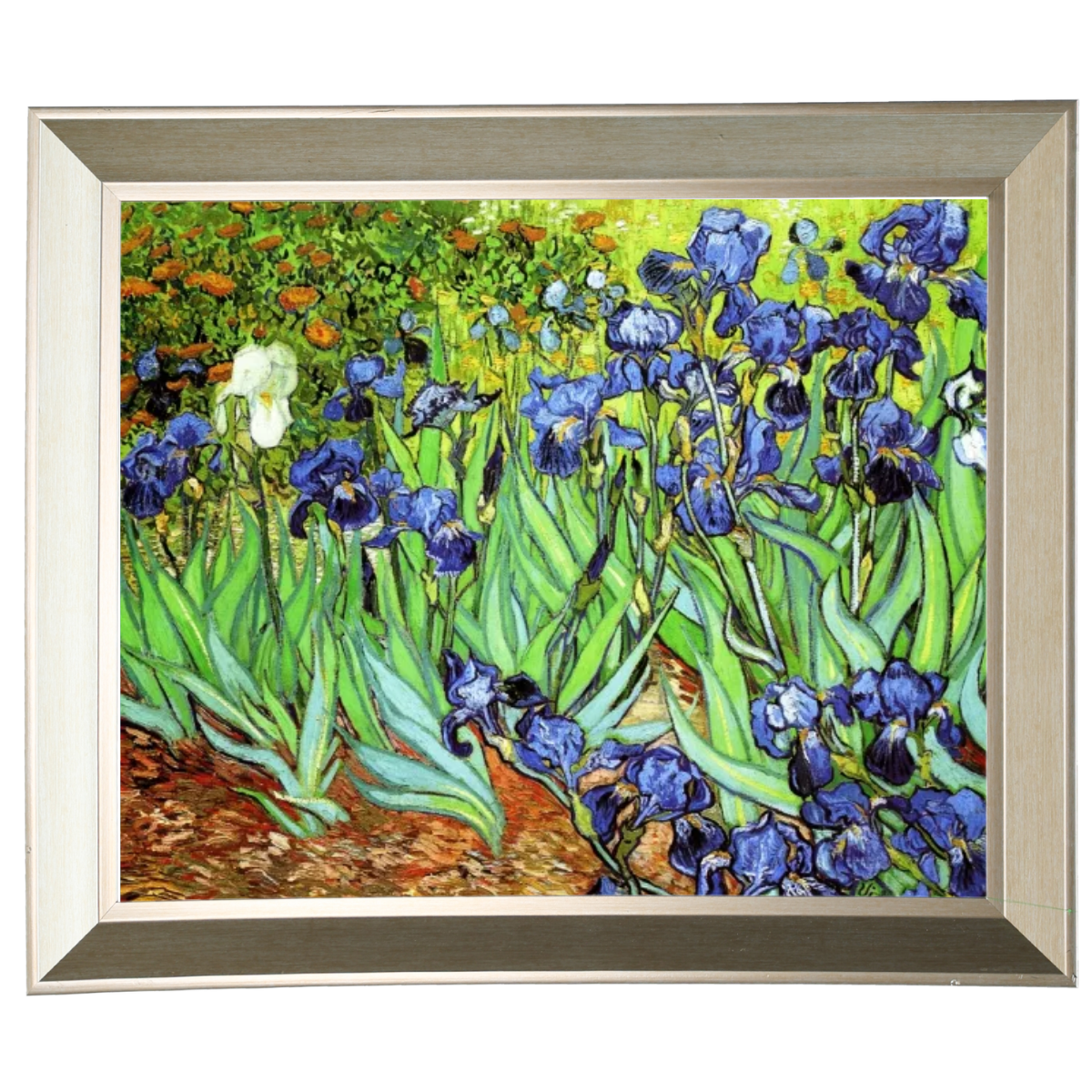 Iris II-Blumen Wandkunstdrucke Dekor für Wohnzimmer