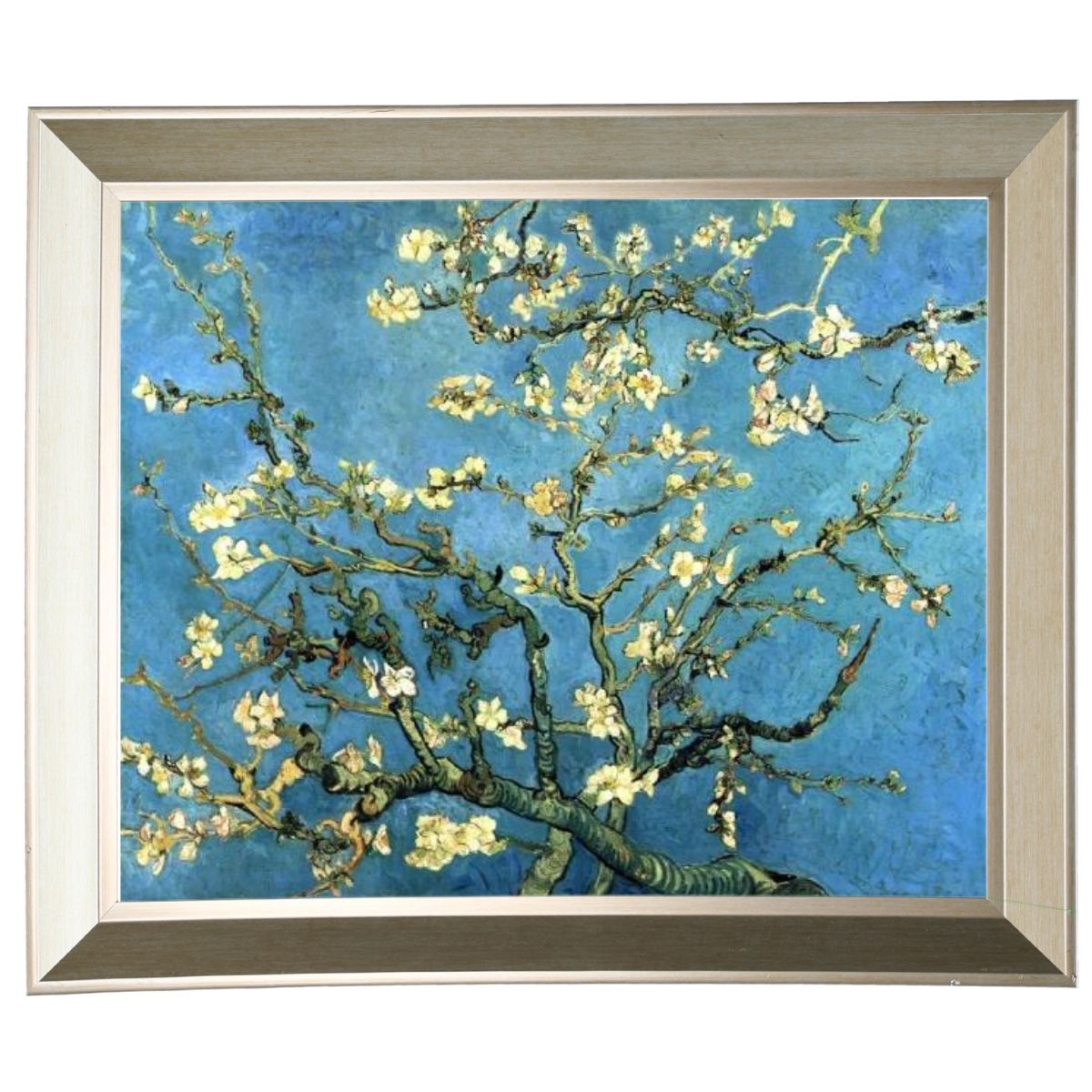 Mandelblüte - Vintage Wandkunstdrucke Dekor für Wohnzimmer