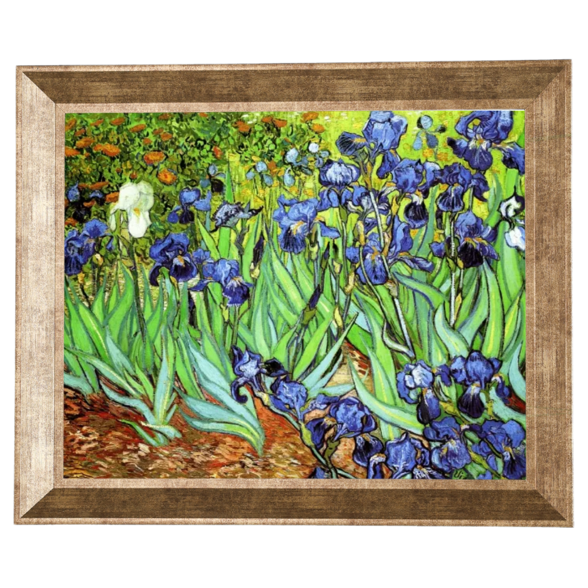 Iris II-Blumen Wandkunstdrucke Dekor für Wohnzimmer