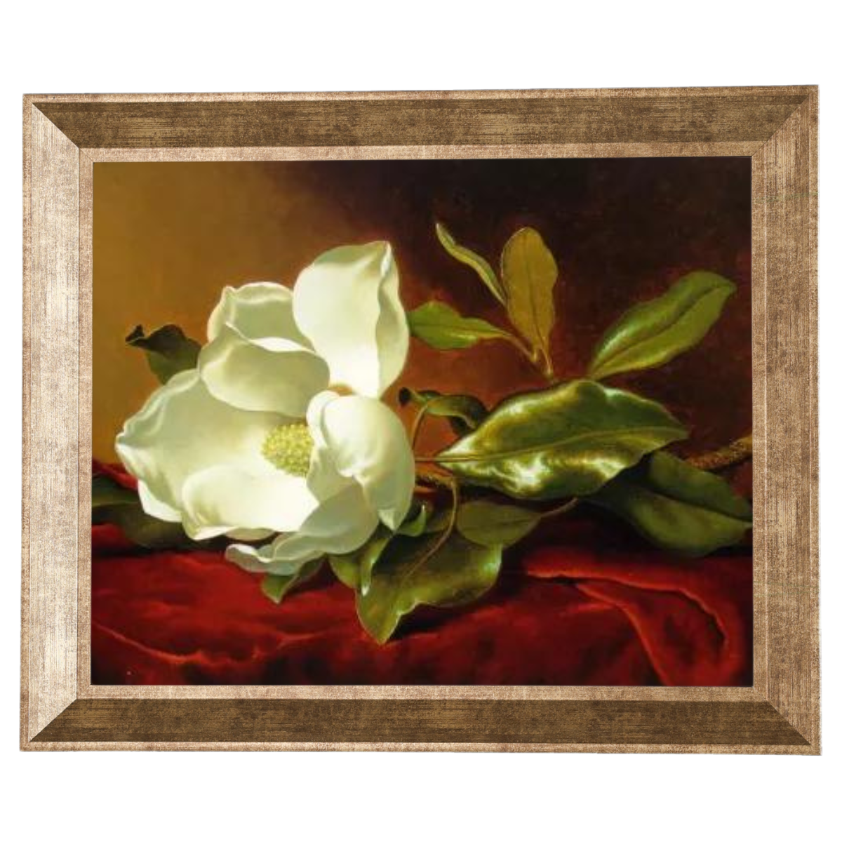 A Magnolia on Red Velvet- Romantisch Wandkunstdrucke Dekor für Wohnzimmer