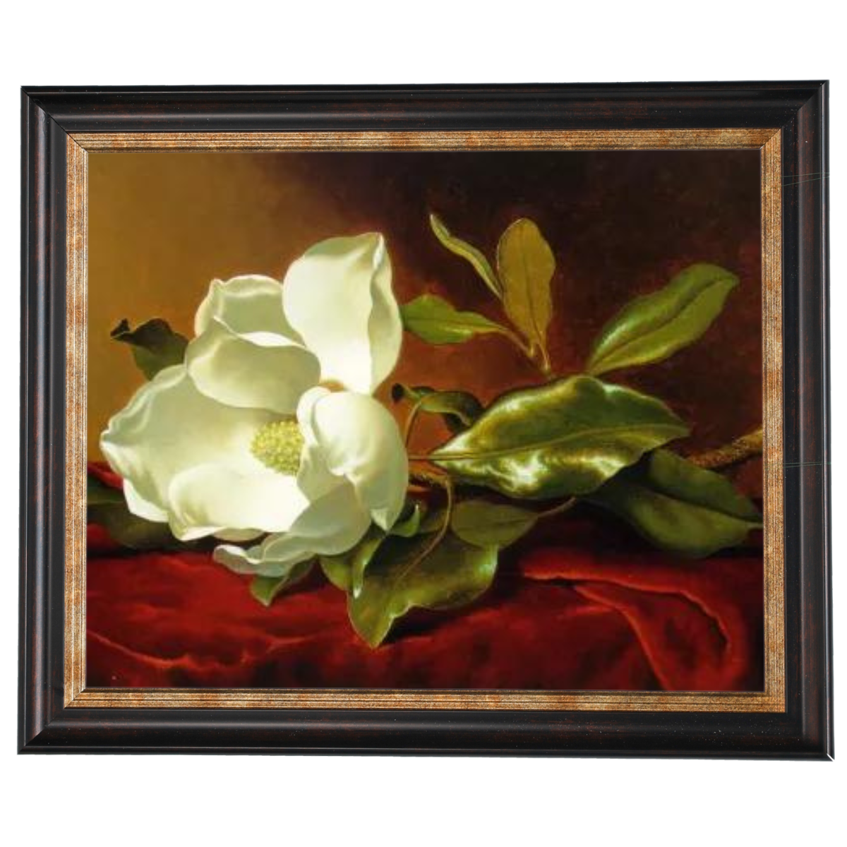 A Magnolia on Red Velvet- Romantisch Wandkunstdrucke Dekor für Wohnzimmer