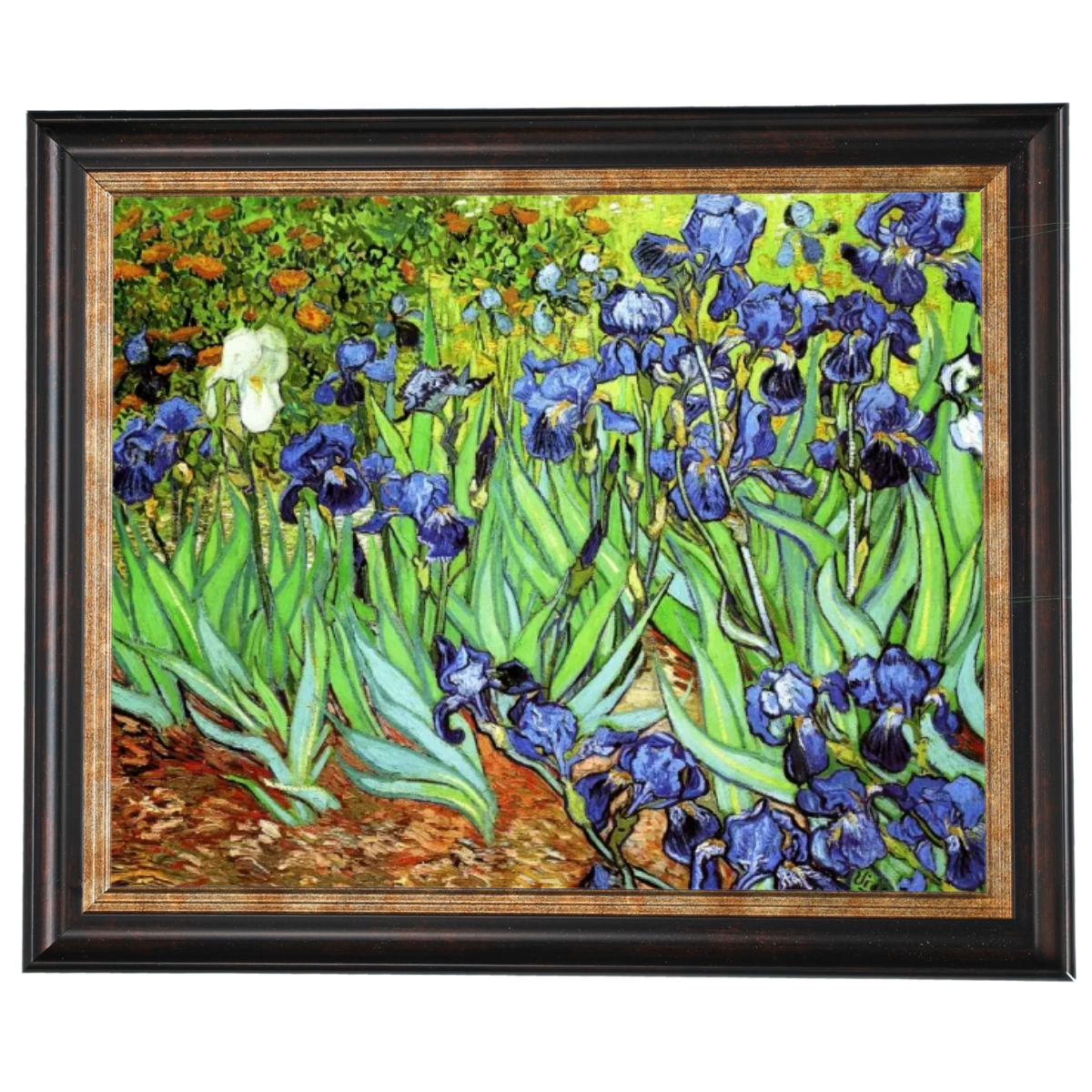 Iris II-Blumen Wandkunstdrucke Dekor für Wohnzimmer