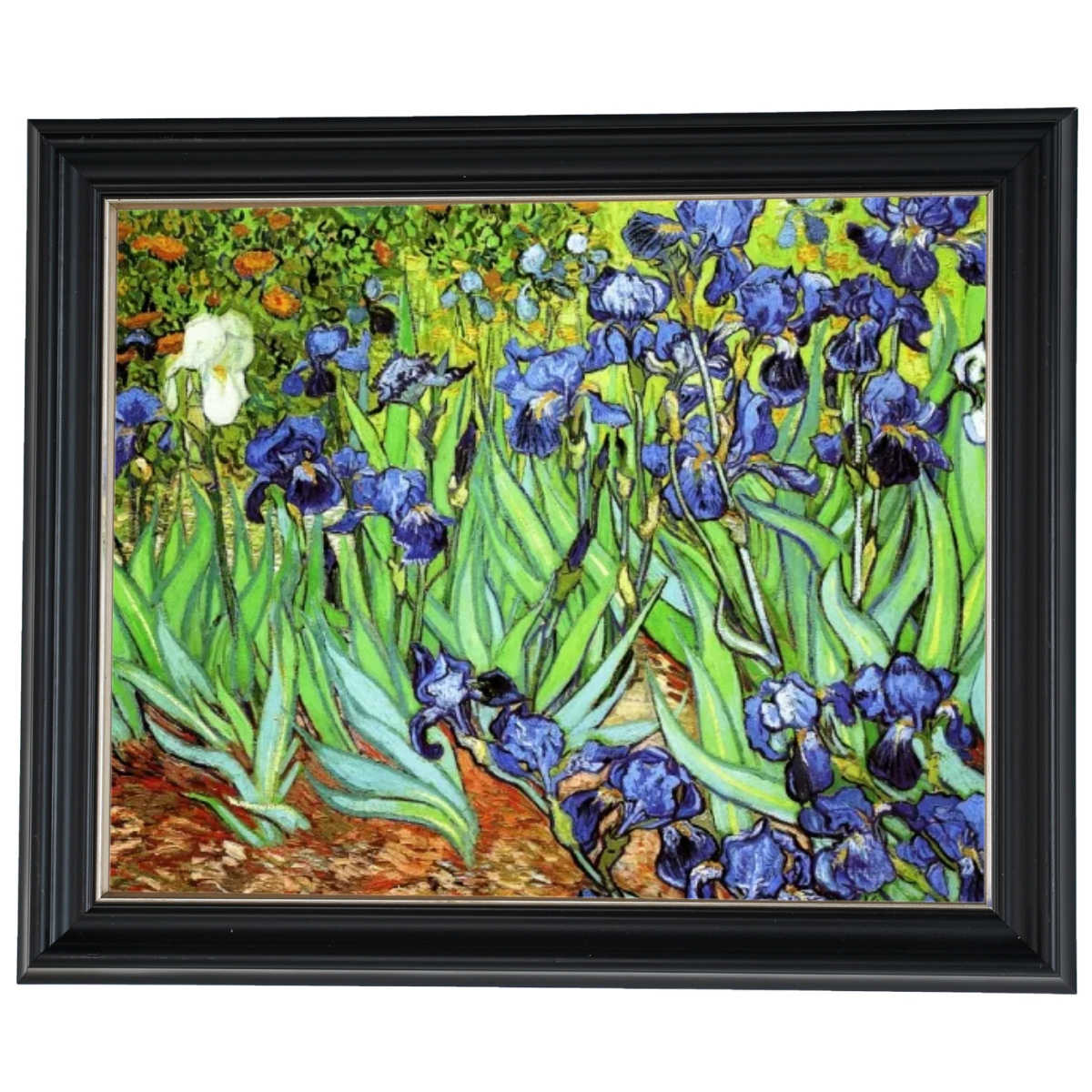 Iris II-Blumen Wandkunstdrucke Dekor für Wohnzimmer