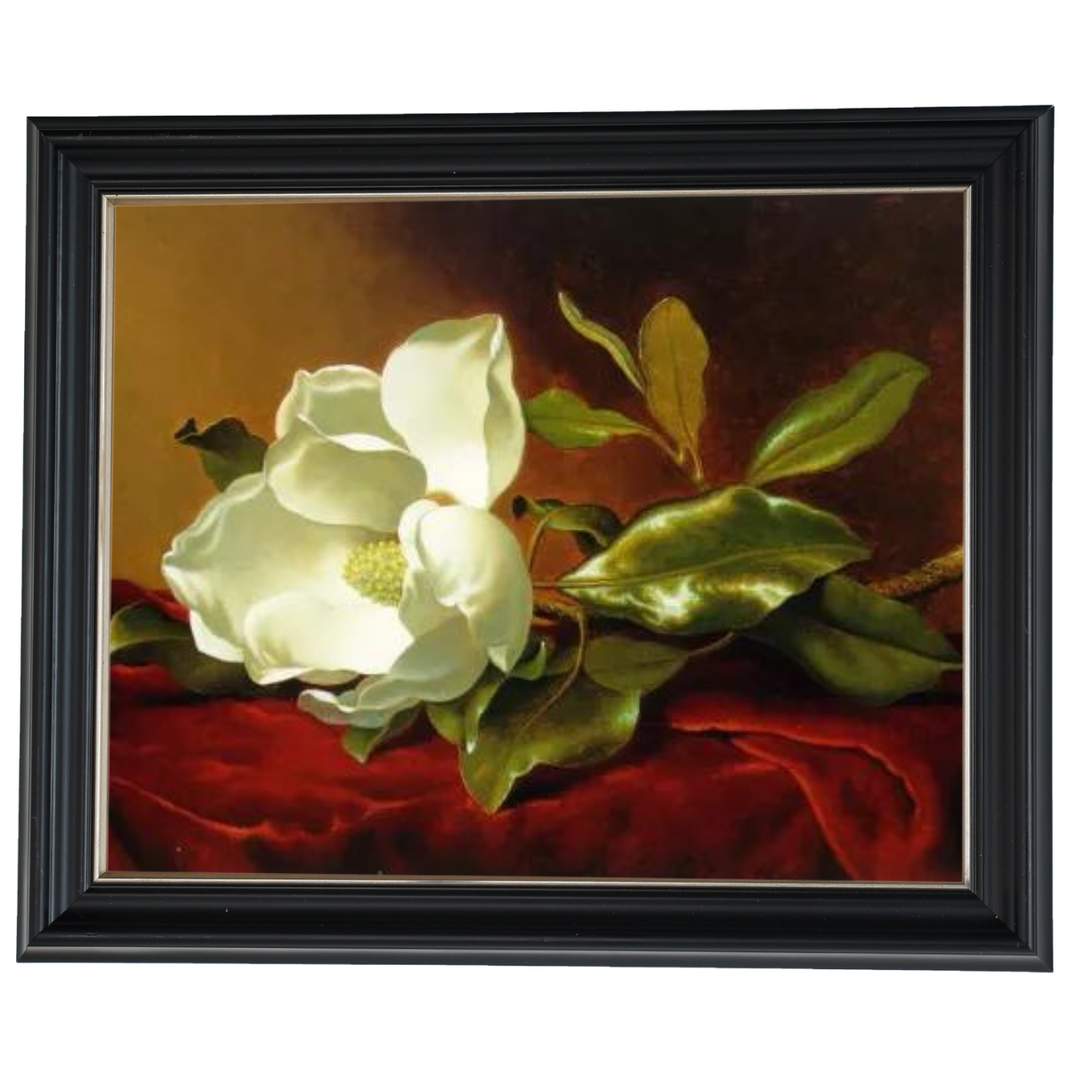 A Magnolia on Red Velvet- Romantisch Wandkunstdrucke Dekor für Wohnzimmer