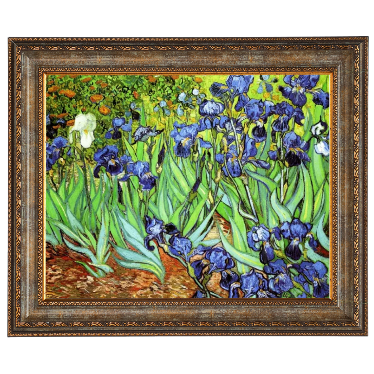 Iris II-Blumen Wandkunstdrucke Dekor für Wohnzimmer