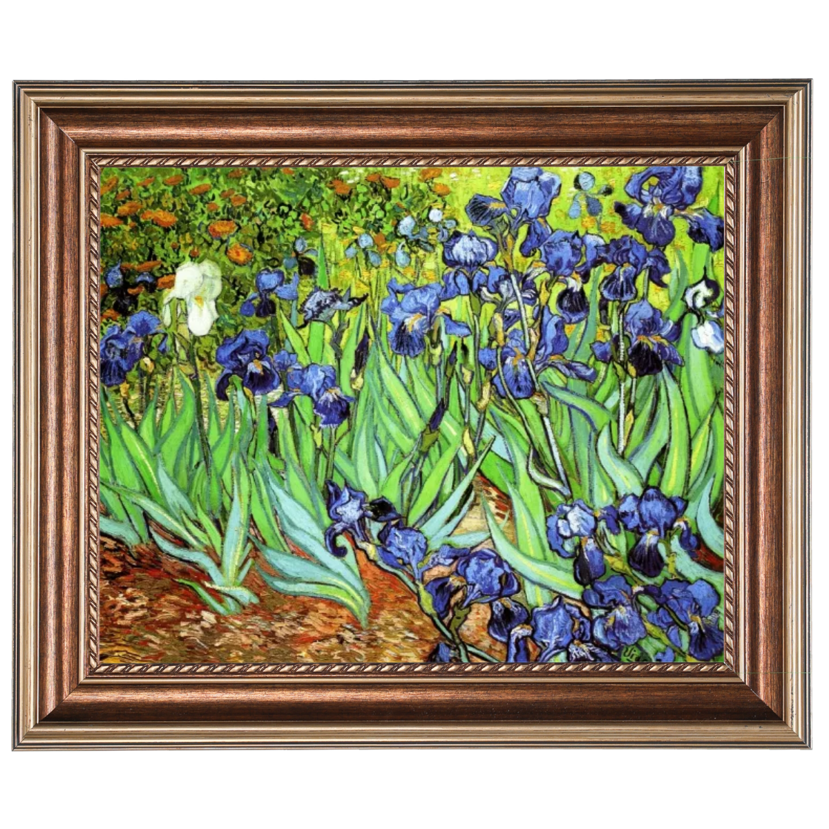 Iris II-Blumen Wandkunstdrucke Dekor für Wohnzimmer