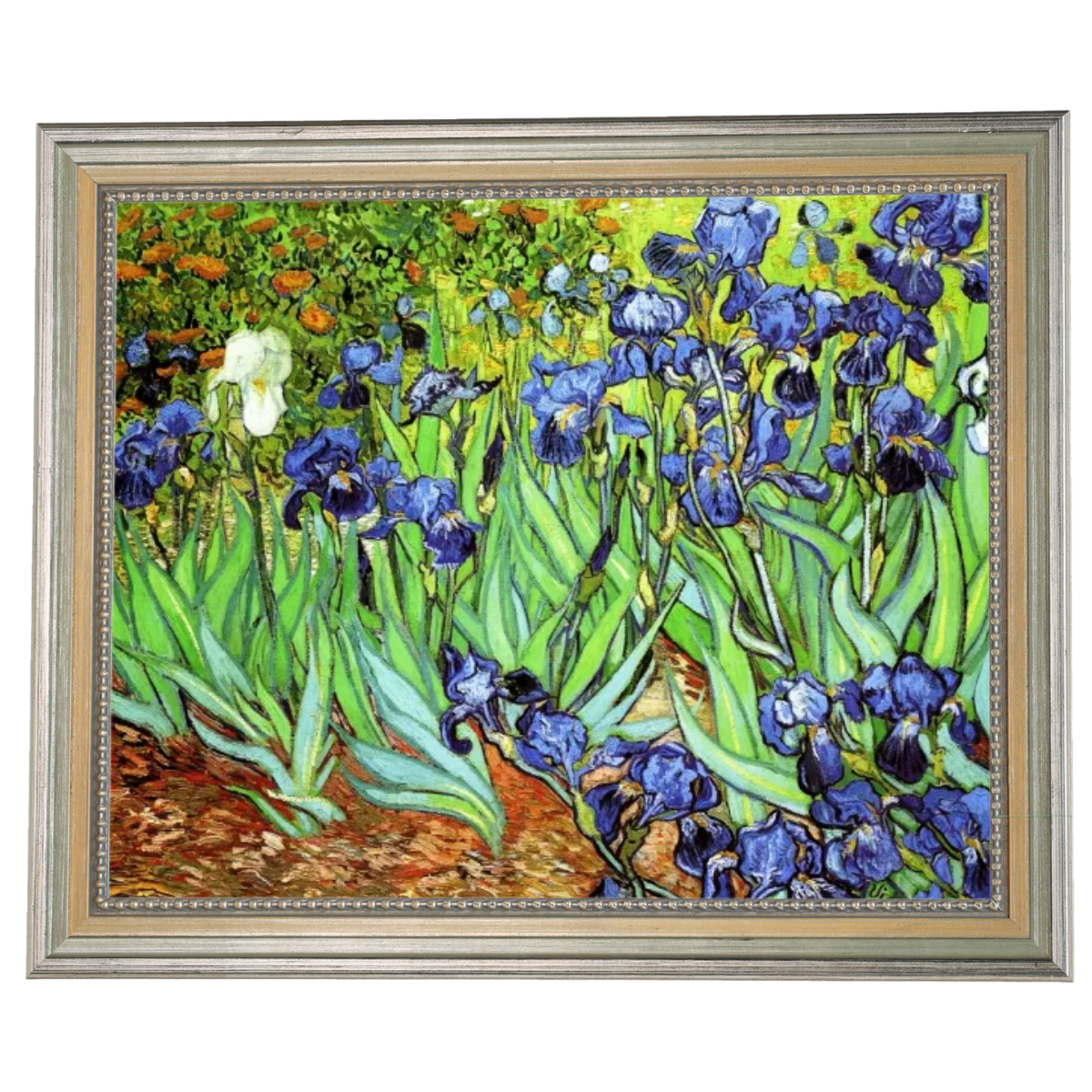 Iris II-Blumen Wandkunstdrucke Dekor für Wohnzimmer