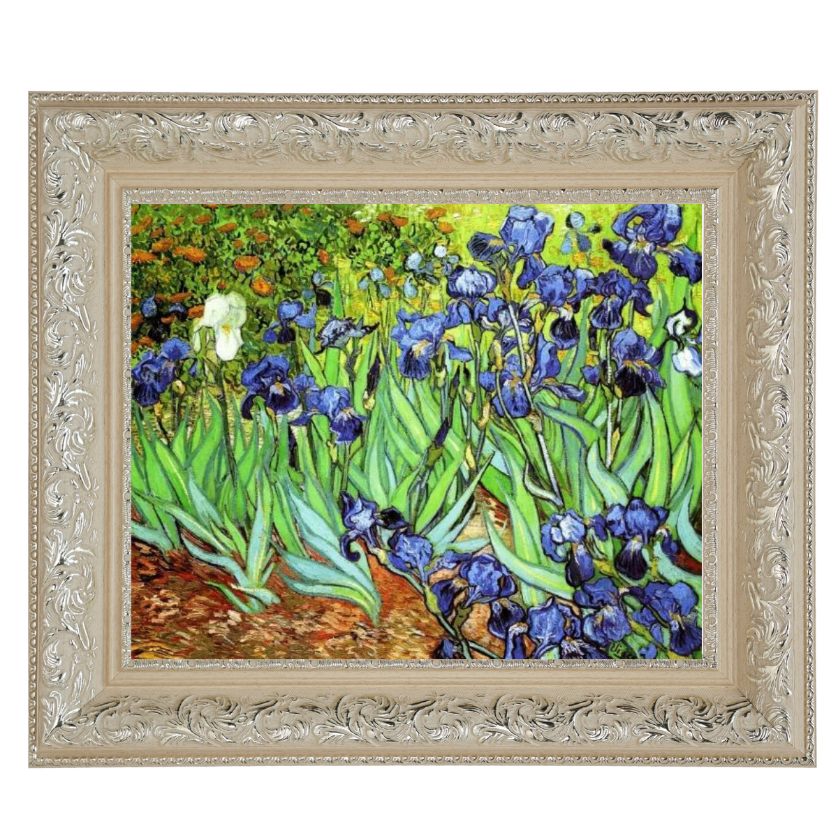 Iris II-Blumen Wandkunstdrucke Dekor für Wohnzimmer