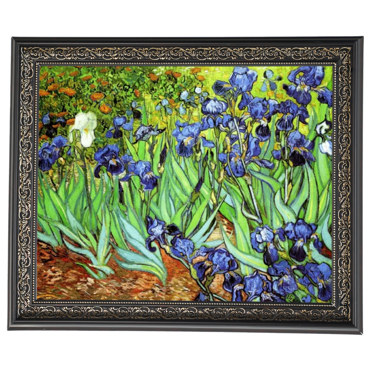 Iris II-Blumen Wandkunstdrucke Dekor für Wohnzimmer