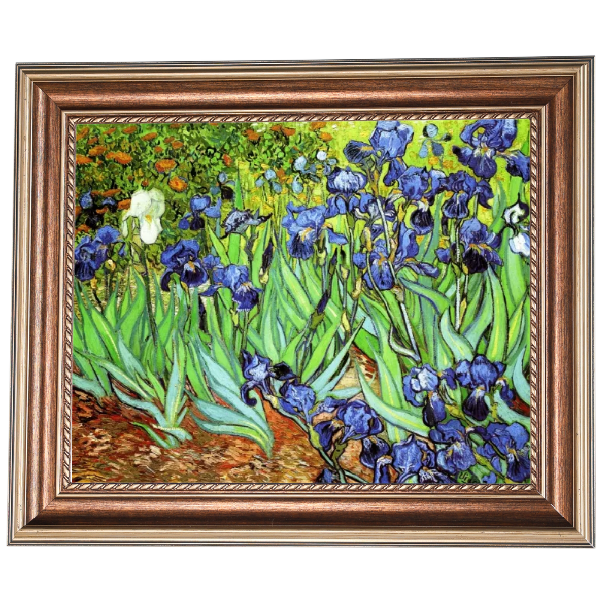 Iris II-Blumen Wandkunstdrucke Dekor für Wohnzimmer