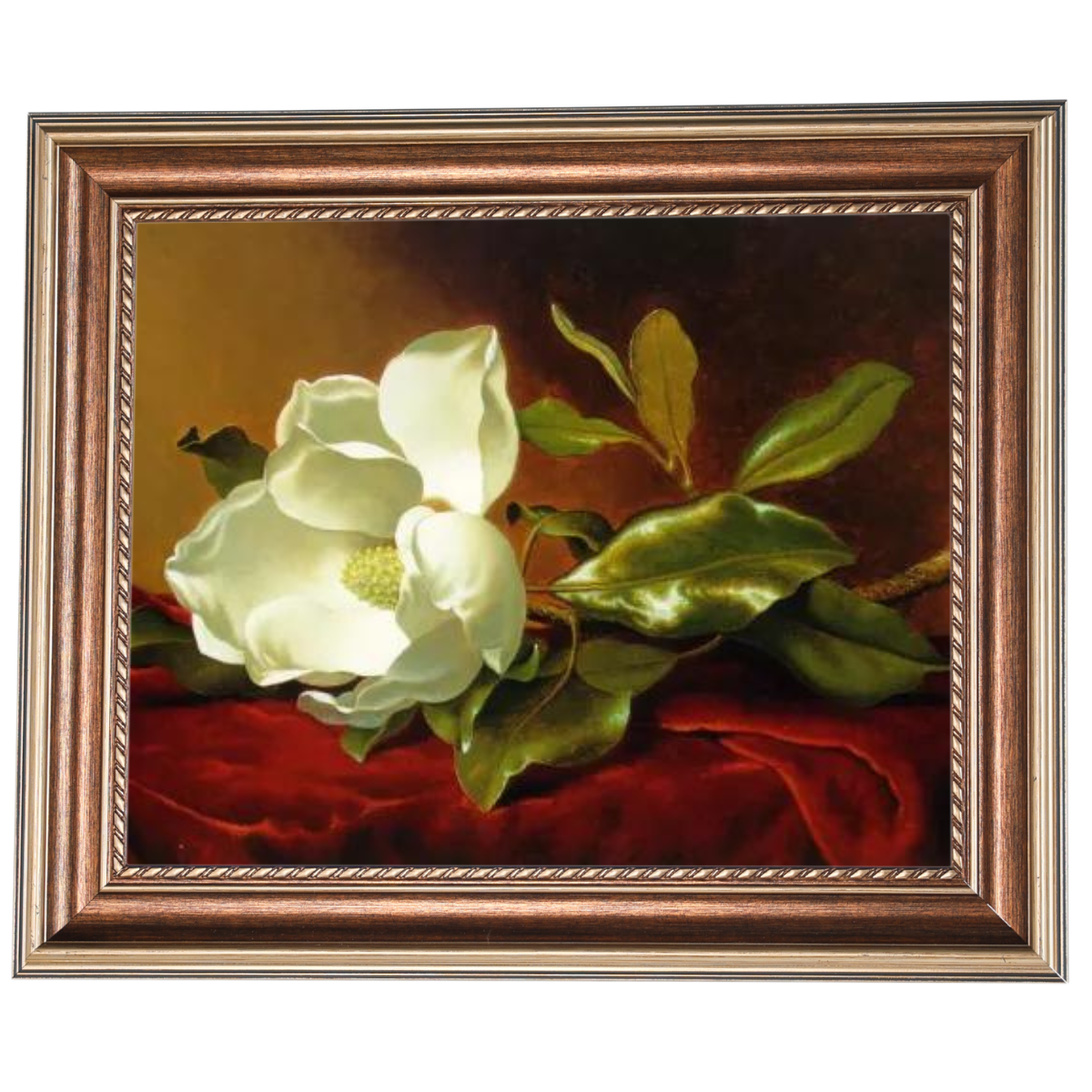 A Magnolia on Red Velvet- Romantisch Wandkunstdrucke Dekor für Wohnzimmer