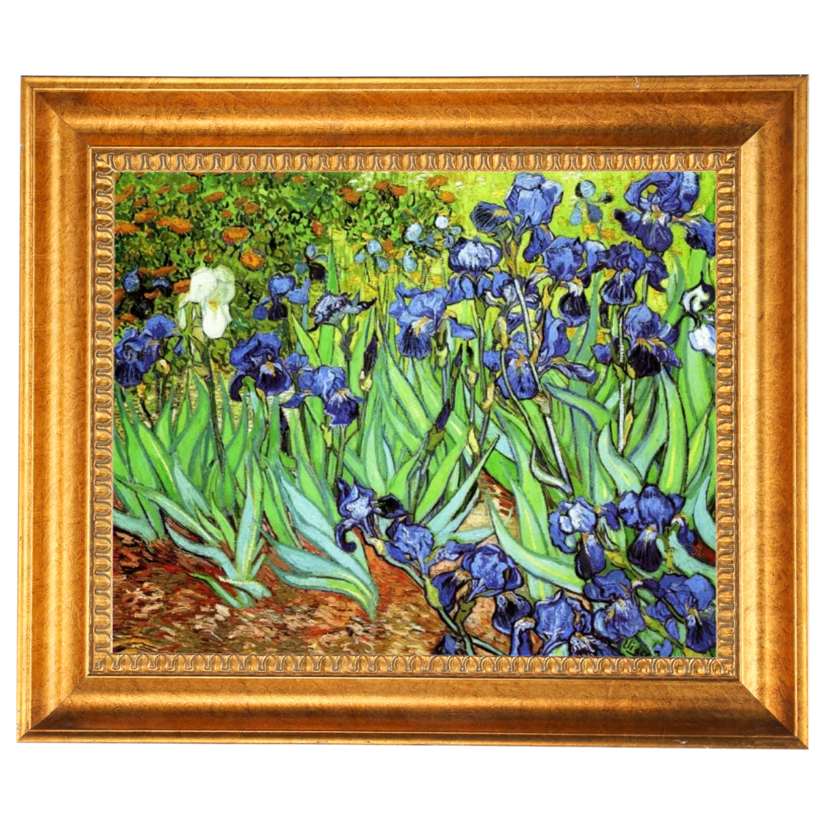 Iris II-Blumen Wandkunstdrucke Dekor für Wohnzimmer