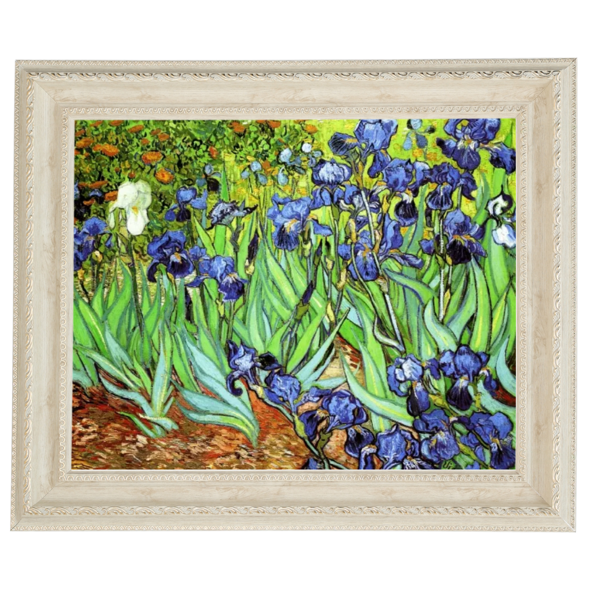 Iris II-Blumen Wandkunstdrucke Dekor für Wohnzimmer