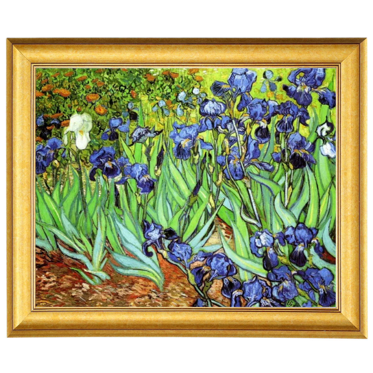 Iris II-Blumen Wandkunstdrucke Dekor für Wohnzimmer