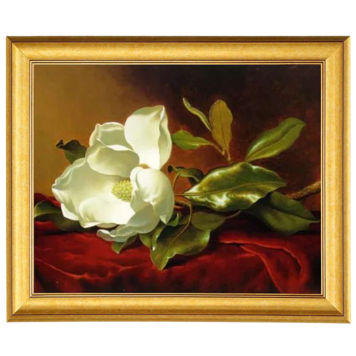 A Magnolia on Red Velvet- Romantisch Wandkunstdrucke Dekor für Wohnzimmer