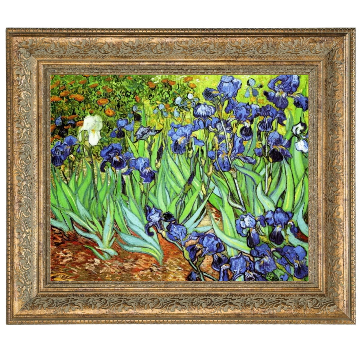 Iris II-Blumen Wandkunstdrucke Dekor für Wohnzimmer