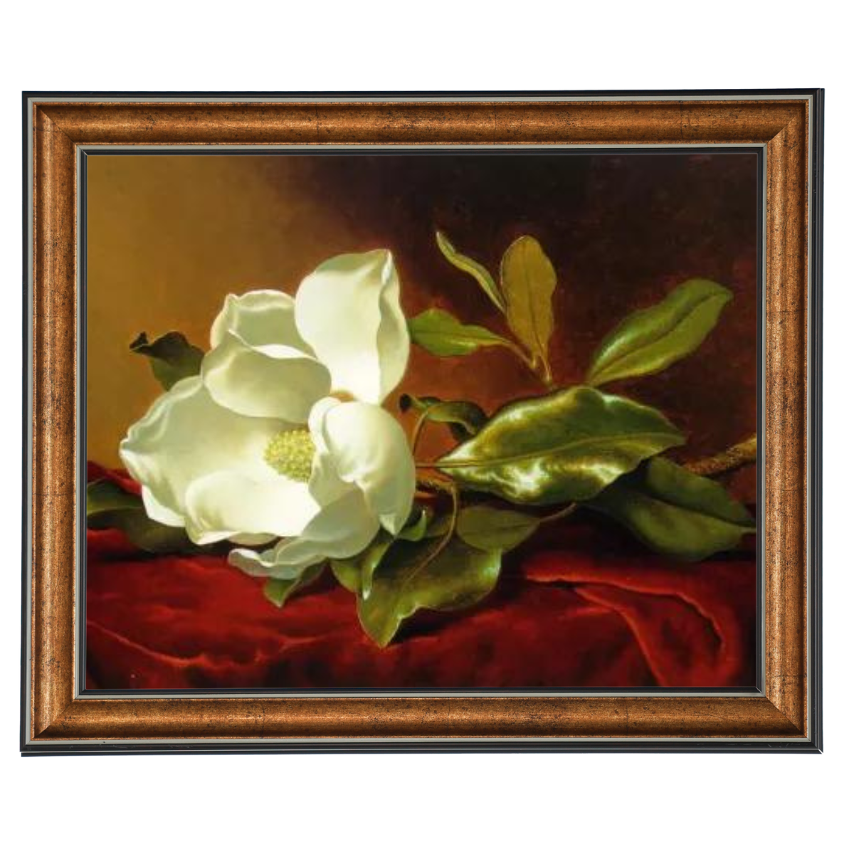 A Magnolia on Red Velvet- Romantisch Wandkunstdrucke Dekor für Wohnzimmer